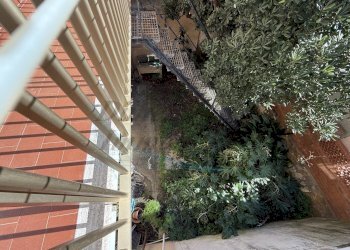 photo_13_2026-02-20_12-12-28.jpg - Quadrilocale Piazza Monte alla Rena, Rosignano Marittimo - foto 20