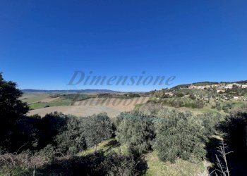 photo_30_2026-02-19_12-50-48.jpg - Trilocale Via di Casimarsi, Santa Luce - foto 7