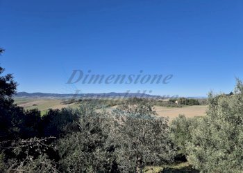 photo_33_2026-02-19_12-50-48.jpg - Trilocale Via di Casimarsi, Santa Luce - foto 26