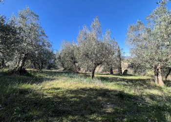 photo_35_2026-02-19_12-50-48.jpg - Trilocale Via di Casimarsi, Santa Luce - foto 28