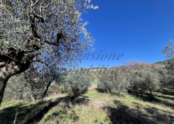 photo_36_2026-02-19_12-50-48.jpg - Trilocale Via di Casimarsi, Santa Luce - foto 29