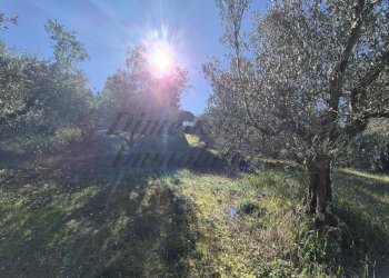 photo_37_2026-02-19_12-50-48.jpg - Trilocale Via di Casimarsi, Santa Luce - foto 30