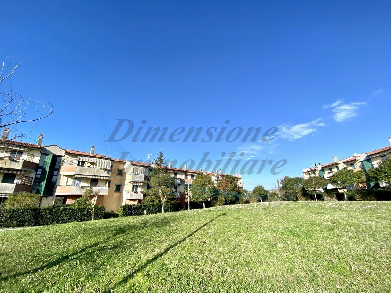 photo_2026-02-20_12-26-29.jpg - Four-room apartment Via Sergio Tofano, Rosignano Marittimo - photo 2