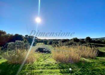 photo_12_2026-02-19_08-58-15.jpg - Quadrilocale Via Sergio Tofano, Rosignano Marittimo - foto 27