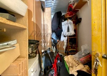 photo_2_2026-02-19_08-58-15.jpg - Quadrilocale Via Sergio Tofano, Rosignano Marittimo - foto 29