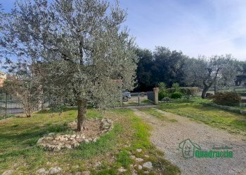 6.png - Casa semi indipendente Via Carlo Alberto, Amelia - foto 6