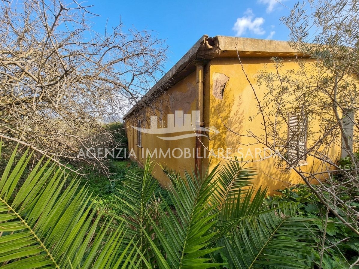 Gemini_Generated_Image_1ztah81ztah81zta.png - Villa Alghero - foto 1