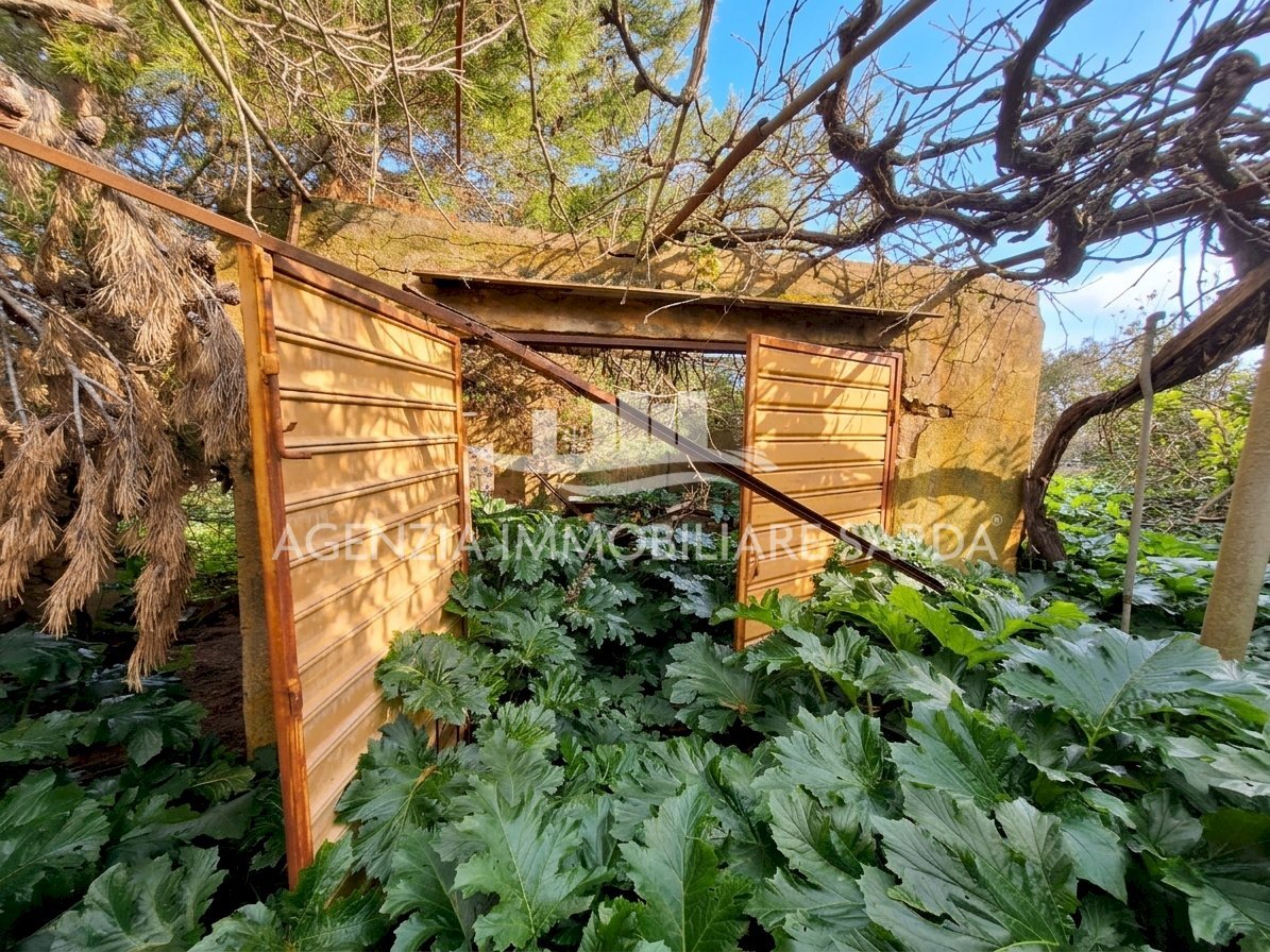 Gemini_Generated_Image_33tve033tve033tv.png - Villa Alghero - foto 2