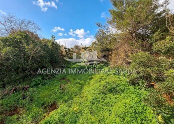 Gemini_Generated_Image_e6917ve6917ve691 (1).png - Villa Alghero - foto 4