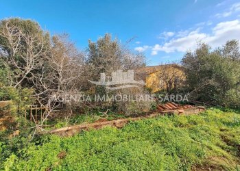 Gemini_Generated_Image_ivfvi4ivfvi4ivfv.png - Villa Alghero - foto 6