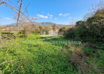 Gemini_Generated_Image_ncps3hncps3hncps (1).png - Villa Alghero - foto 7