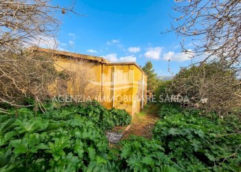 Gemini_Generated_Image_qj71pkqj71pkqj71 (1).png - Villa Alghero - foto 8