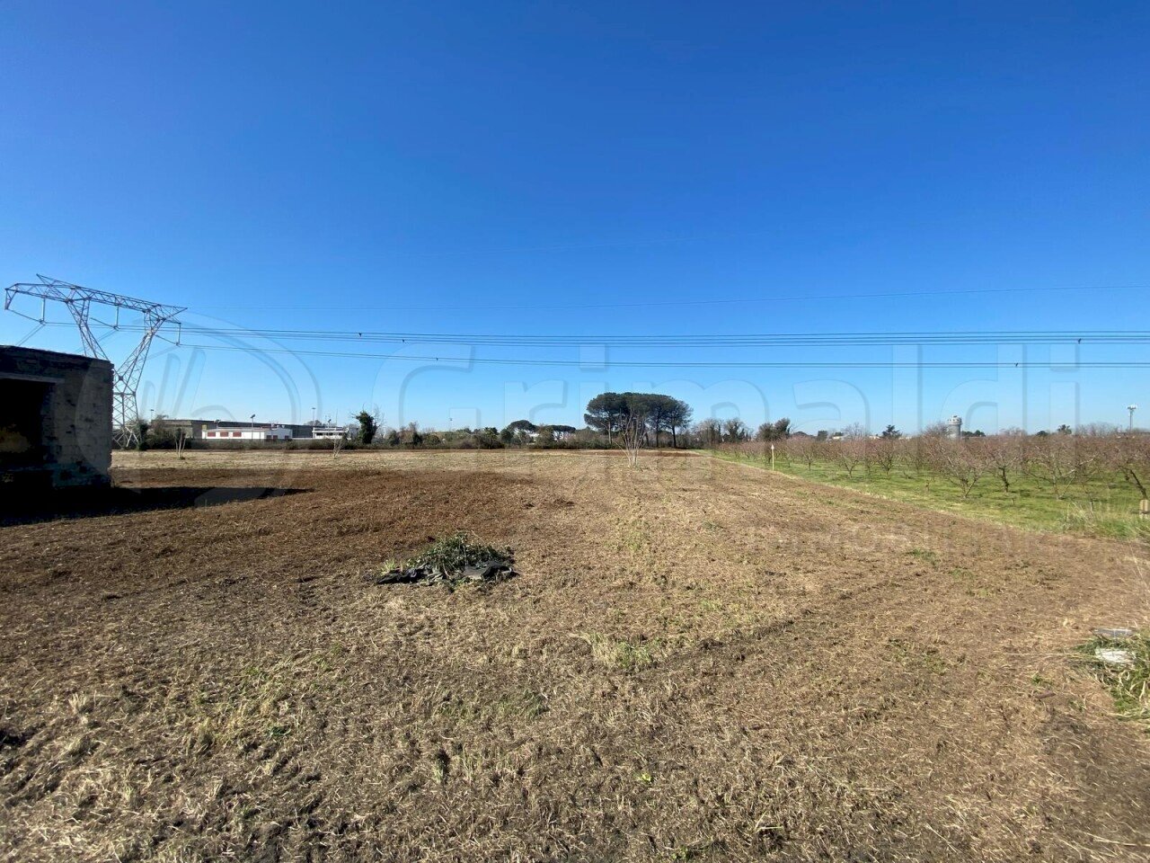 3.JPG - Terreno agricolo Giugliano in Campania - foto 3
