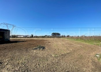 3.JPG - Terreno agricolo Giugliano in Campania - foto 3