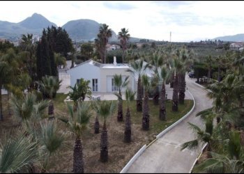 5a94c867-79d1-4897-9dad-906c77b71aac.jpg - Villa Partinico - foto 24