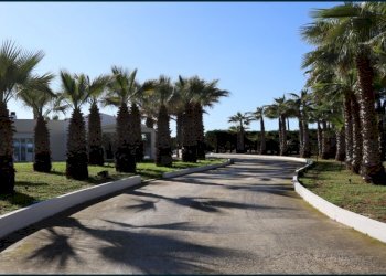 40dbb942-fd30-4220-be7d-10ef4d43d7b8.jpg - Villa Partinico - foto 28