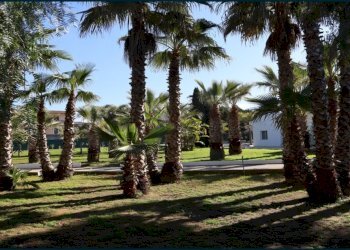 88a5e702-5ddd-42a9-a01a-de096299acbc.jpg - Villa Partinico - foto 29