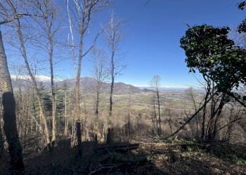 IMG_8136.jpeg - Villa Via Castel Grup 10, Martiniana Po - foto 14