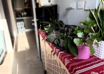 Trilocale Via Riccardo Pitteri, Milano (zona Ortica) - foto 18