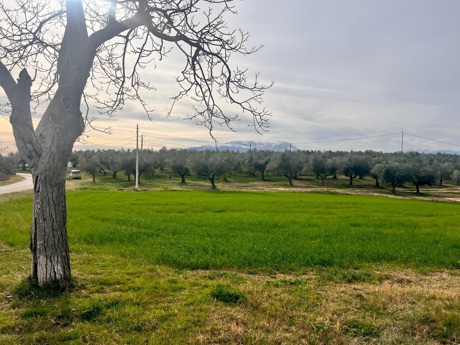 Villa Unifamiliare Contrada Nora, 2, Pianella - foto 1
