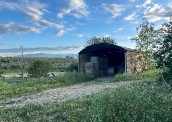 Villa Unifamiliare Contrada Nora, 2, Pianella - foto 45