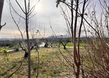 Villa Unifamiliare Contrada Nora, 2, Pianella - foto 55