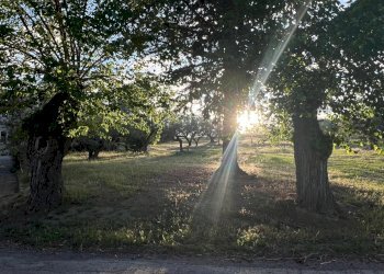 Villa Unifamiliare Contrada Nora, 2, Pianella - foto 65