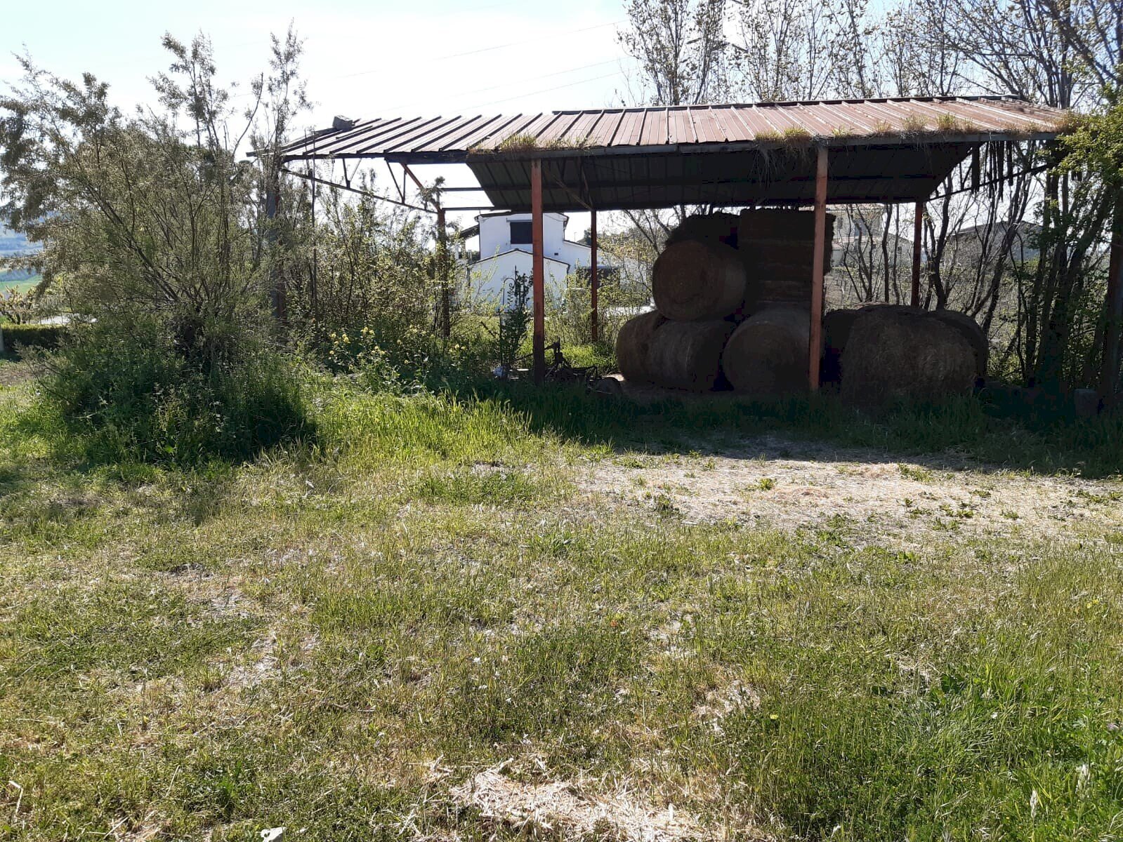 Rustic contrada reille, Atri - photo 1