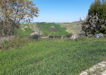 Rustico contrada reille, Atri - foto 9