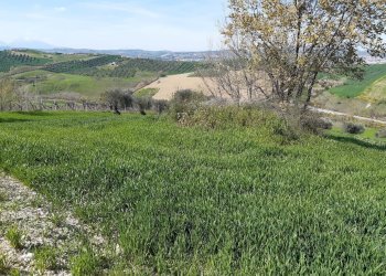 Rustico contrada reille, Atri - foto 12