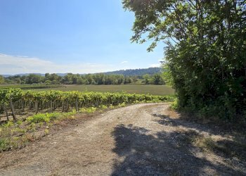 Rustico via della stazione, Rosciano - foto 14