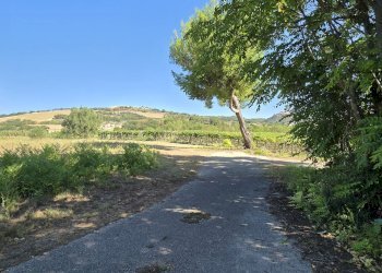 Rustico via della stazione, Rosciano - foto 15