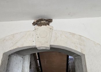 Rustico Località Cavate, Sulmona - foto 20