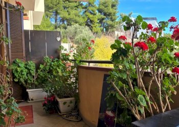 Appartamento Via A. Spagnuolo, 32, Montesilvano - foto 25