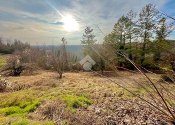 Casa semi indipendente Frazione Ranello, Castelnuovo Don Bosco - foto 3