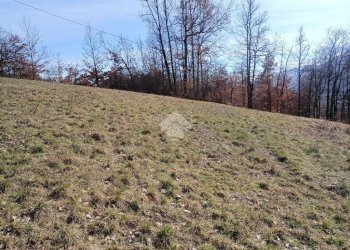 Villa Località Prato, Cantalupo Ligure - photo 26