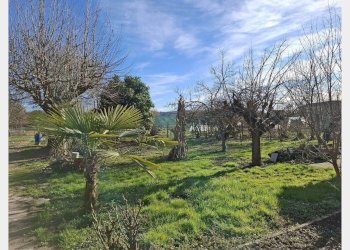 Casa indipendente Asti - foto 15