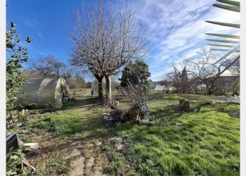 Casa indipendente Asti - foto 17