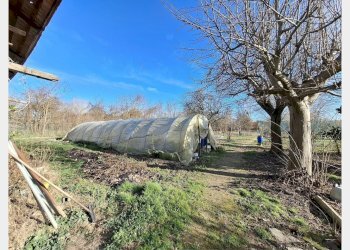 Casa indipendente Asti - foto 19