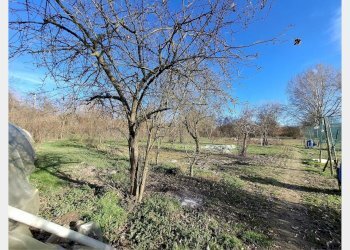 Casa indipendente Asti - foto 21