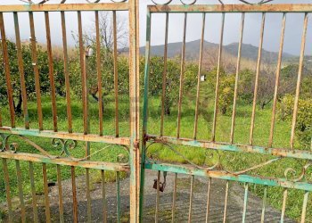 Giardino - Terreno agricolo contrada chiarello, Calatabiano - foto 14