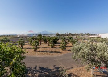 Edificio all\'aperto - Capannone zona industriale blocco palma II
 
SNC, Catania - foto 42