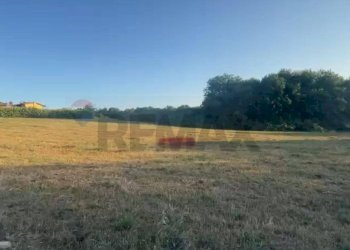 Giardino - Agricultural land via Ponte Romano
 
100, Bucine - photo 4