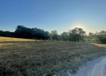 Giardino - Agricultural land via Ponte Romano
 
100, Bucine - photo 5