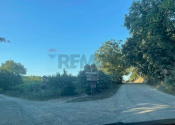 Giardino - Agricultural land via Ponte Romano
 
100, Bucine - photo 6