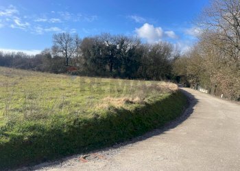 Giardino - Agricultural land via Ponte Romano
 
100, Bucine - photo 7