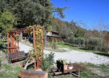Giardino - Rustico via Badia
 
52, Civitella di Romagna - foto 4