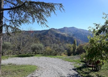 Vista delle montagne - Rustico via Badia
 
52, Civitella di Romagna - foto 7