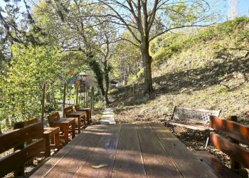 Giardino - Rustico via Badia
 
52, Civitella di Romagna - foto 11