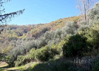 Vista delle montagne - Rustico via Badia
 
52, Civitella di Romagna - foto 16